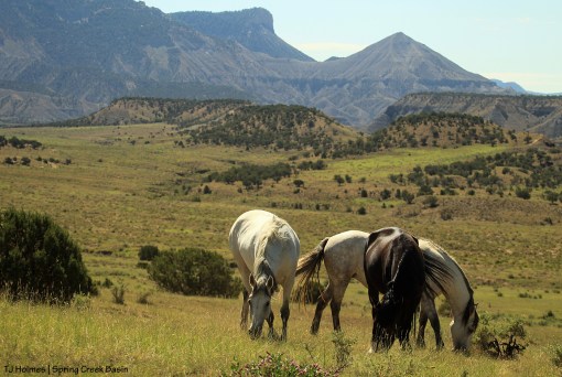 Piedra, Aurora and Terra; McKenna Peak and Temple Butte. Solar eclipse.