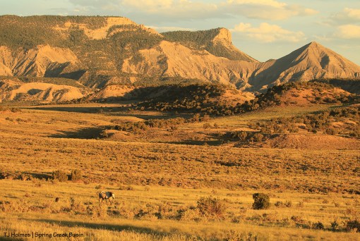 Winona, McKenna Peak, Temple Butte