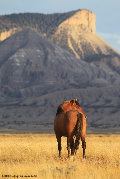 Hollywood; McKenna Peak and Temple Butte