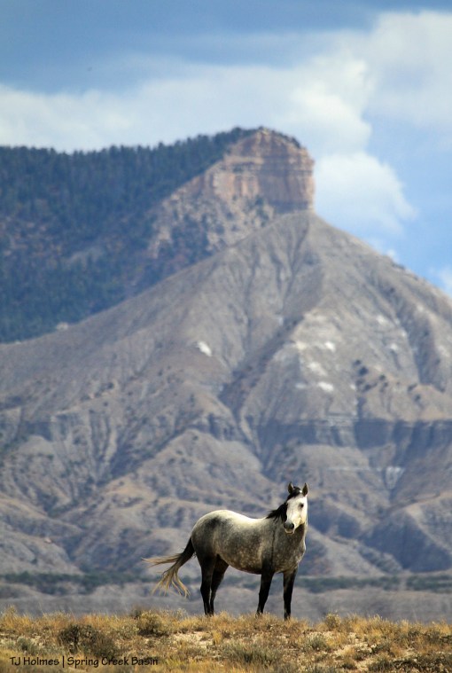 Temple, McKenna Peak, Temple Butte