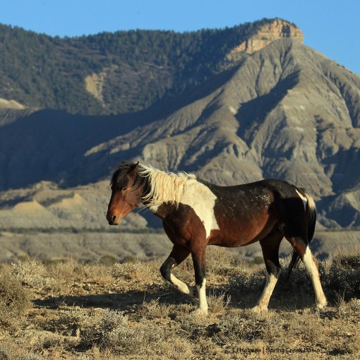 S'aka; McKenna Peak and Temple Butte