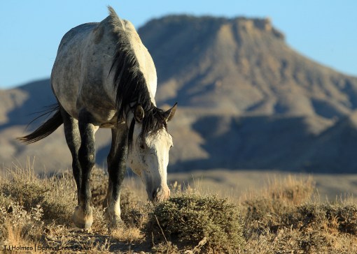 Skywalker, Brumley Point