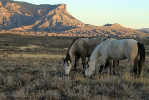 Winona and Mariah; McKenna Peak and Temple Butte