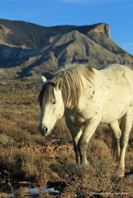Storm; McKenna Peak and Temple Butte