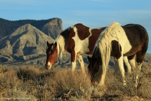 Puzzle and Spirit; McKenna Peak and Temple Butte
