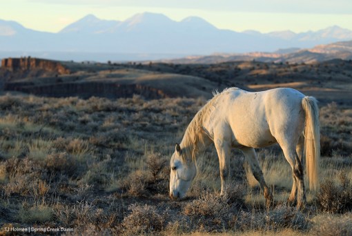 Kwana; La Sal Mountains