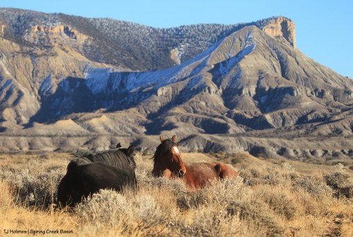 Taking a nap; McKenna Peak and Temple Butte