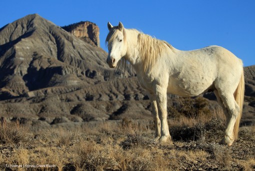 Sundance; McKenna Peak and Temple Butte