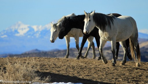 Comanche, Aurora and Piedra; La Sal Mountains