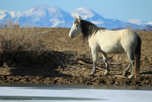 Iya; La Sal Mountains