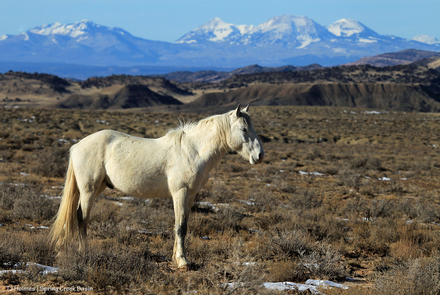 Kwana; La Sal Mountains
