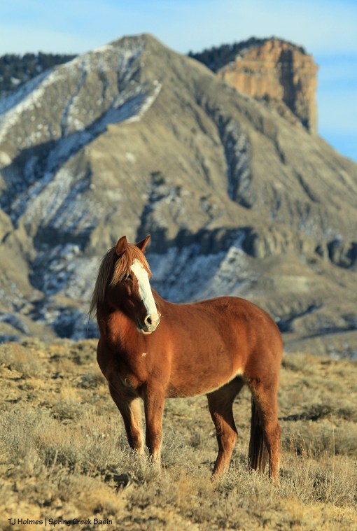 Gaia, Temple Butte, McKenna Peak