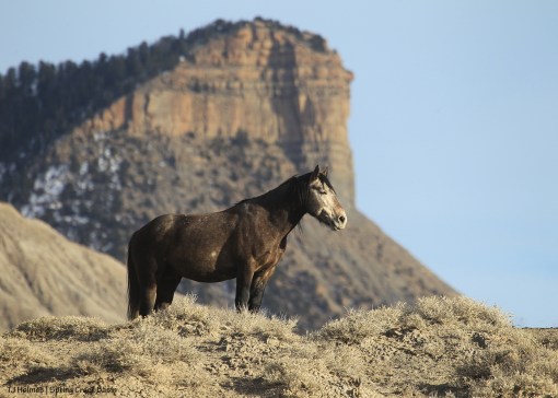 Killian; Temple Butte and (barely) McKenna Peak
