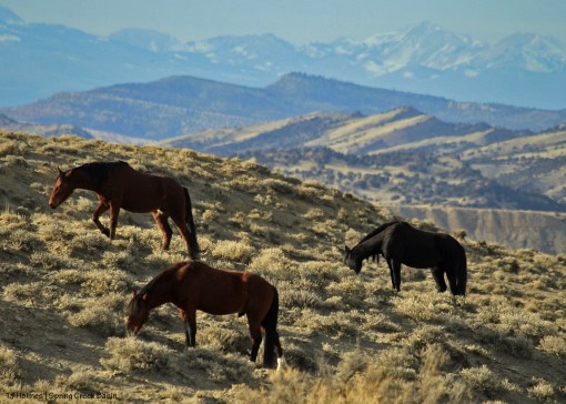Tenaz, Madi ... La Sal Mountains