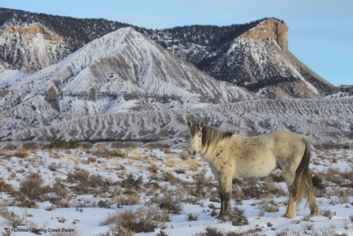 Storm; McKenna Peak, Temple Butte