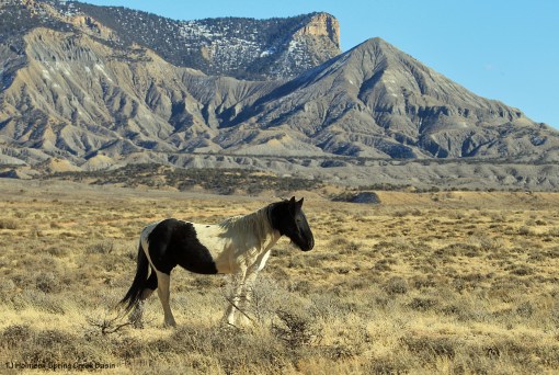 Corazon; McKenna Peak and Temple Butte