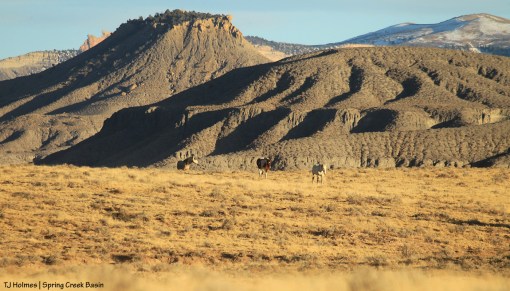 Kwana's band; Round Top, Brumley Point