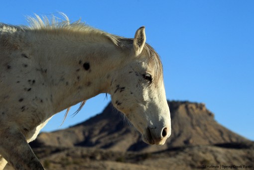 Storm; Brumley Point