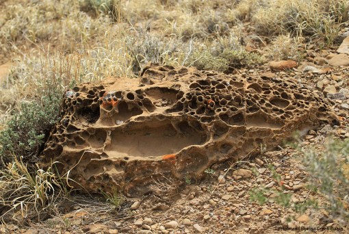 Weird rock in the basin