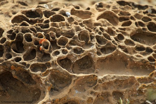 Weird rock in the basin