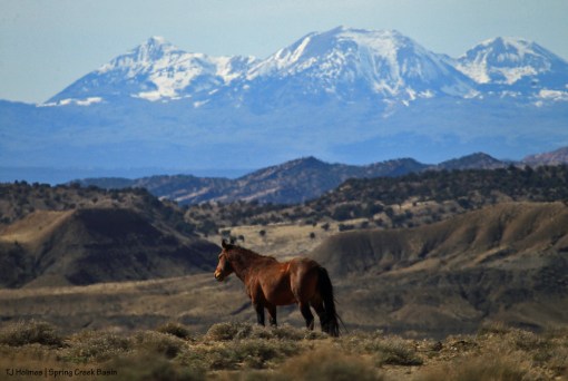Tenaz; La Sal Mountains