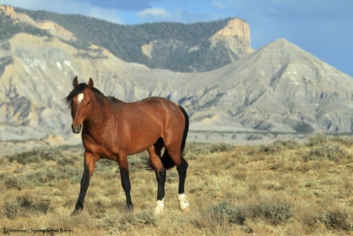 Tenaz; McKenna Peak and Temple Butte