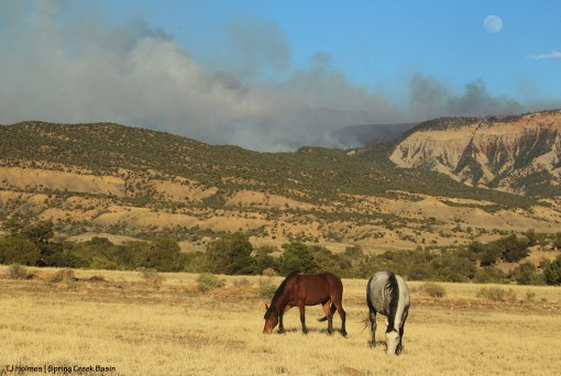 052718templemadisonfiremoon1