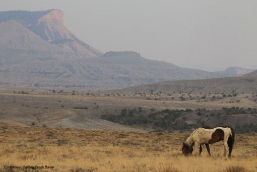 Chipeta; Temple Butte and McKenna Peak