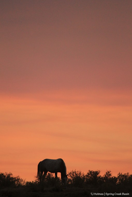 Skywalker, smoky sunset