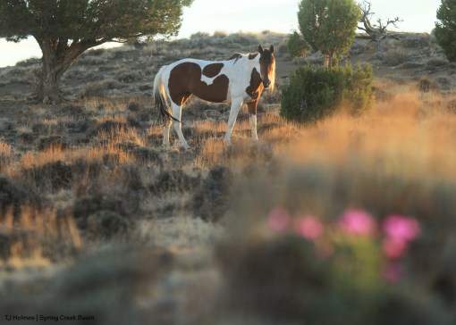 Puzzle and 4 o'clock