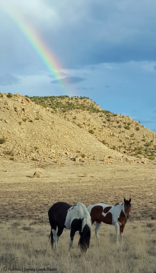 Puzzle and Spirit under the rainbow.