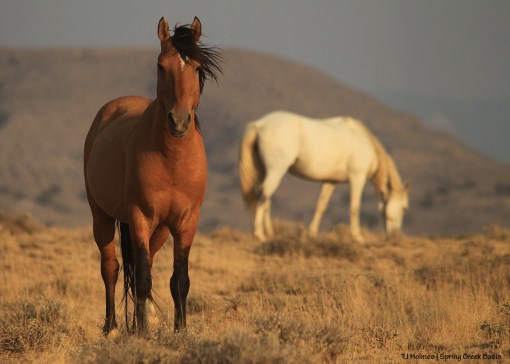 Hollywood and Alegre