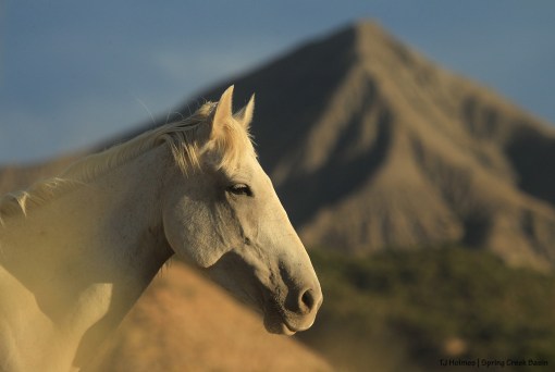Mysterium; McKenna Peak