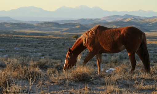 Gaia; La Sal Mountains