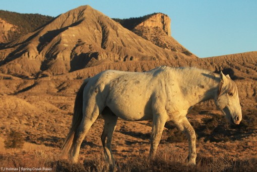 Storm; McKenna Peak and Temple Butte