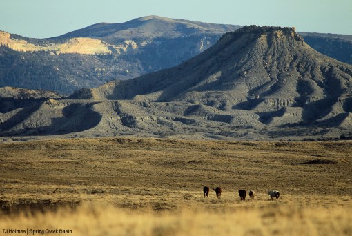Tenaz; Brumley Point