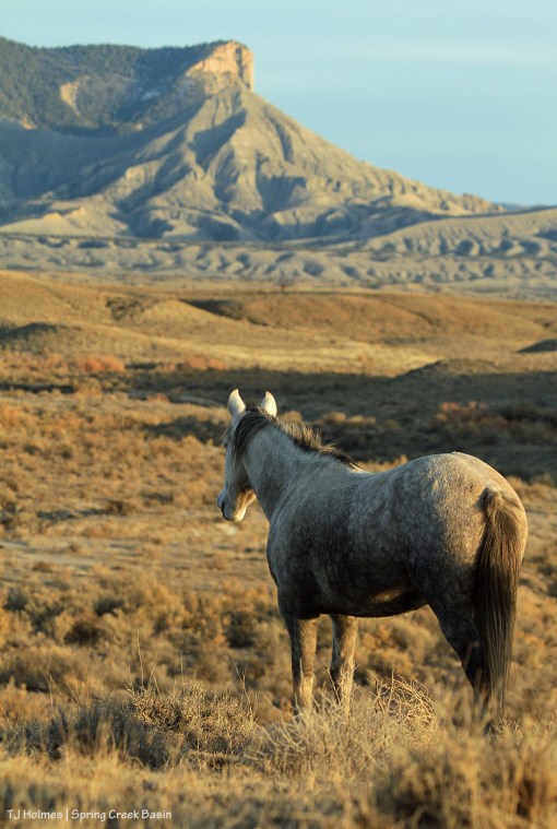 Mariah; McKenna Peak and Temple Butte