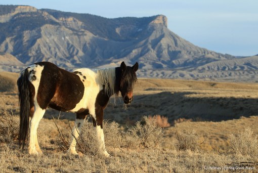 Spirit; McKenna Peak and Temple Butte