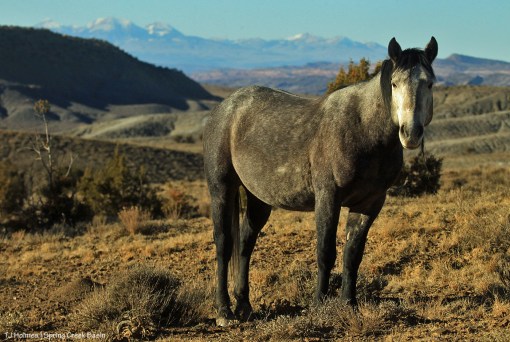 Killian; La Sal Mountains