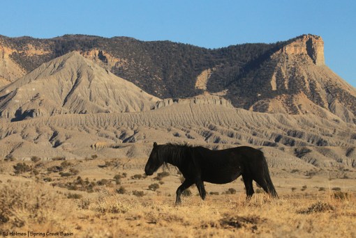 Shadow; McKenna Peak and Temple Butte