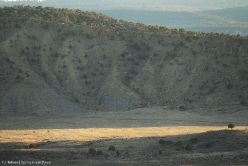 Hollywood's band; Filly Peak