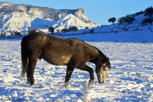 Killian; McKenna Peak and Temple Butte