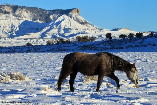 Seneca; Temple Butte and McKenna Peak
