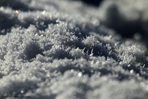 Snow in Spring Creek Basin
