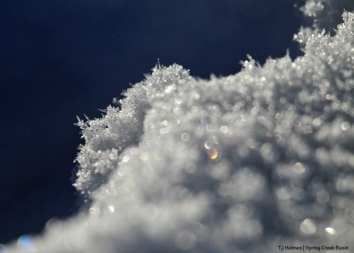 Snow in Spring Creek Basin