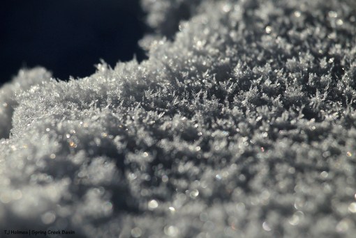 Snow in Spring Creek Basin
