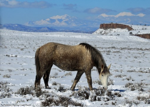 Mariah; La Sal Mountains