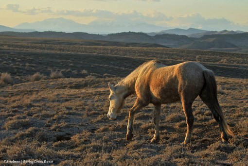 Mariah; La Sal Mountains