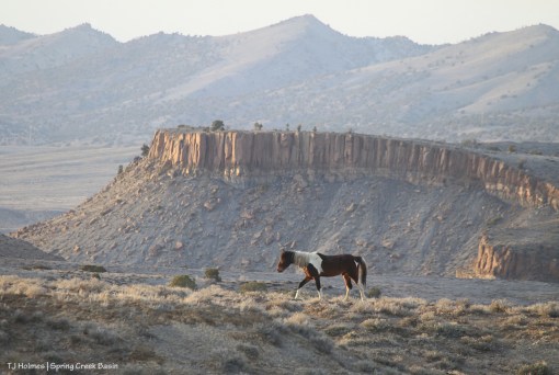 S'aka; Spring Creek canyon