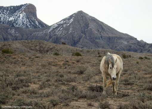 Comanche; McKenna Peak, Temple Butte